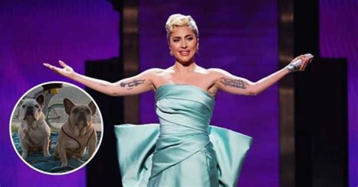
Who is Jennifer McBride? Lady Gaga sued for $500,000 over dognapping reward 